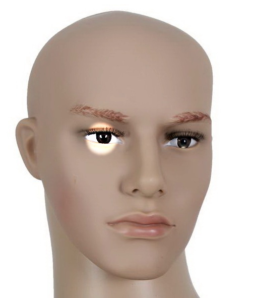 Локализация