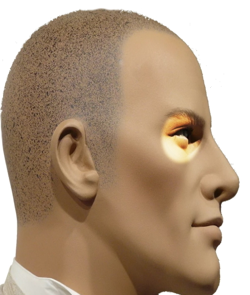 Локализация