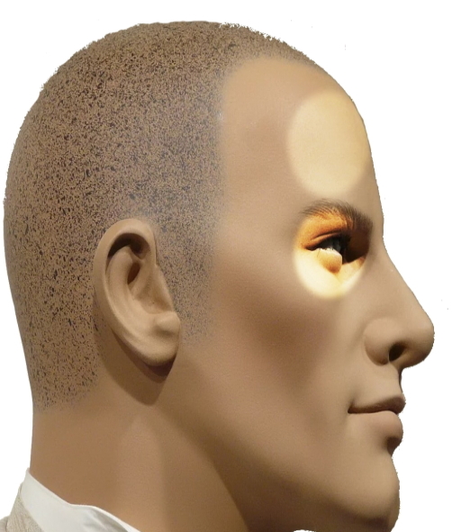 Локализация