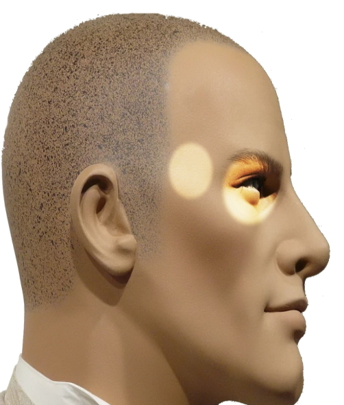 Локализация