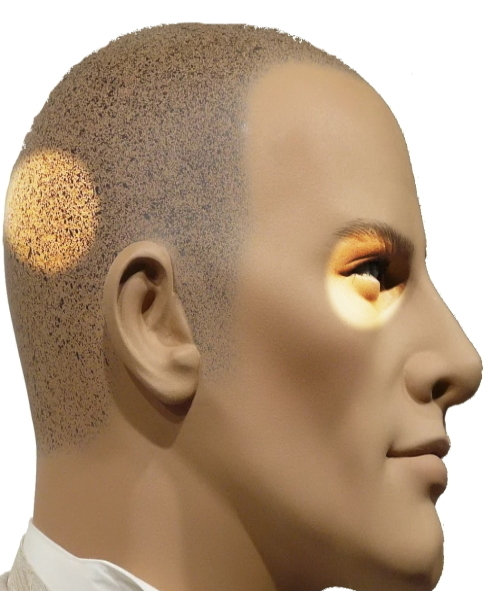 Локализация