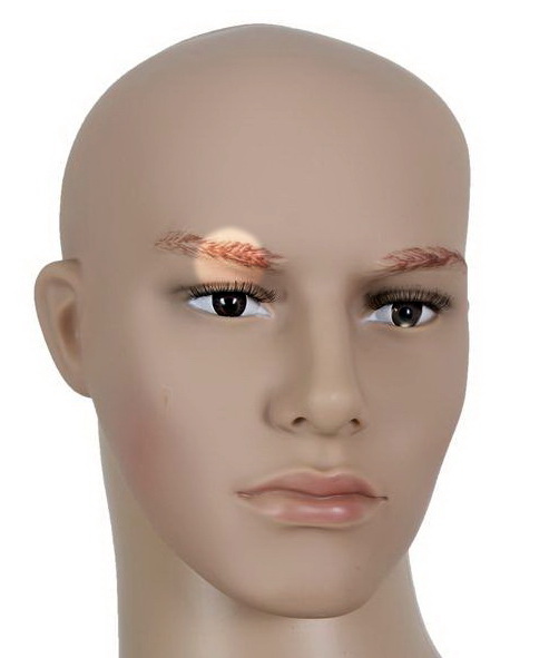 Локализация