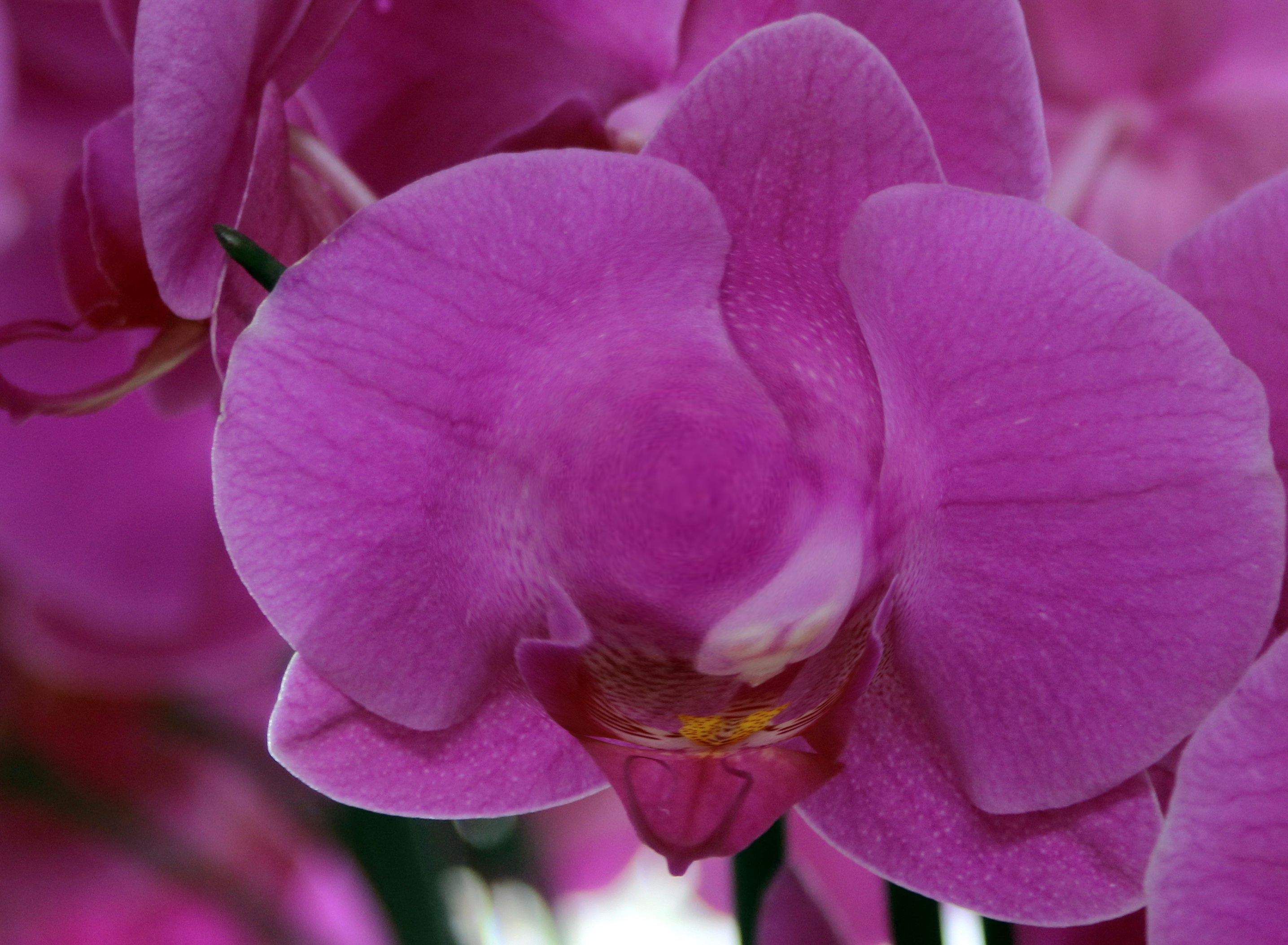 Искривление